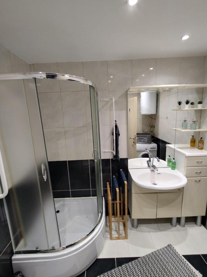 Studio Apartman Karler 卡尔洛瓦茨 外观 照片
